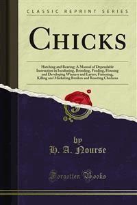 Chicks - H. A. Nourse - E-Book