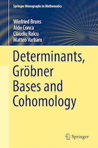 Determinants, Gröbner Bases and Cohomology - Winfried Bruns - E-Book