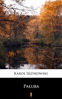 Pałuba - Karol Irzykowski - E-Book