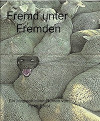 Fremd unter Fremden - peter Ernst - E-Book