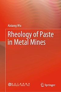 Rheology of Paste in Metal Mines - Aixiang Wu - E-Book