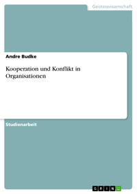 Kooperation und Konflikt in Organisationen - Andre Budke - E-Book
