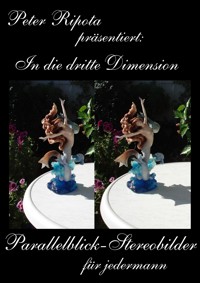 In die dritte Dimension-2 - Peter Ripota - E-Book