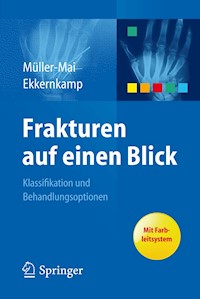 Frakturen auf einen Blick -  - E-Book