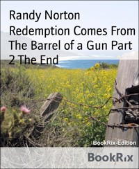 Redemption Comes From The Barrel of a Gun Part 2 The End - Randy Norton - E-Book