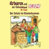 20: Der Schatz im Klosterbrunnen - Erika Immen - Hörbuch