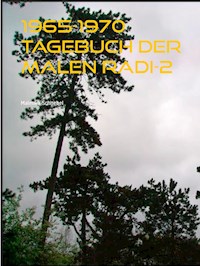 1965-1970 Tagebuch der Malen Radi-2 - Malenka Schnebel - E-Book