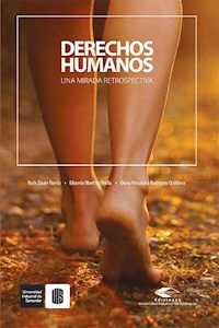 Derechos humanos. Una mirada retrospectiva - Ruth Zárate - E-Book