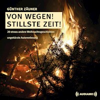 Von wegen! Stillste Zeit! - Günther Zäuner - Hörbuch