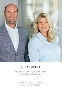Jura Direkt - Domenico Anic - E-Book