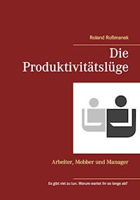 Die Produktivitätslüge - Roland Roßmanek - E-Book
