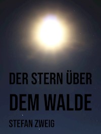 Der Stern über dem Walde - Zweig Stefan - E-Book