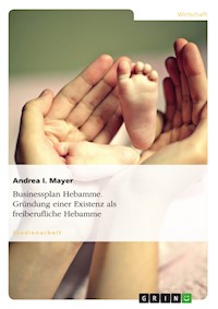 Businessplan Hebamme. Gründung einer Existenz als freiberufliche Hebamme - Andrea I. Mayer - E-Book