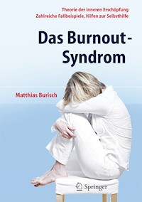 Das Burnout-Syndrom - Matthias Burisch - E-Book