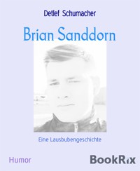Brian Sanddorn - Detlef Schumacher - kostenlos E-Book