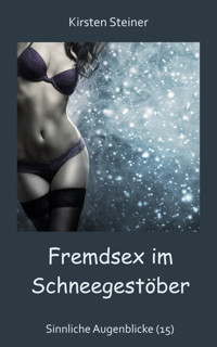 Fremdsex im Schneegestöber - Kirsten Steiner - E-Book