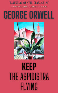 Keep the Aspidistra Flying - George Orwell - E-Book