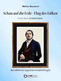 Schau auf die Erde – Der Flug des Falken. Erstes Buch: In Gottes Hand - Walter Baumert - E-Book
