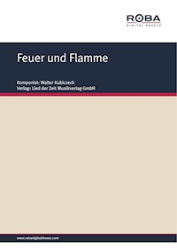 Feuer und Flamme - Walter Kubiczeck - E-Book