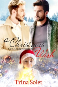 A Christmas Wish: Gay Holiday Romance - Trina Solet - E-Book