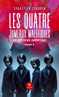 Les quatre jumeaux maléfiques et les deux orphelins - Sébastien Coudrin - E-Book
