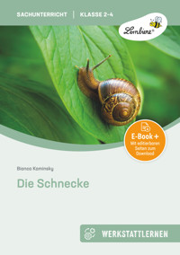 Die Schnecke - Bianca Kaminsky - E-Book