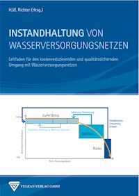 Instandhaltung von Wasserversorgungsnetzen - - E-Book