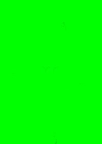 Bioeconomies -  - E-Book