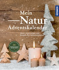 Mein Natur-Adventskalender - Anne Rogge - E-Book