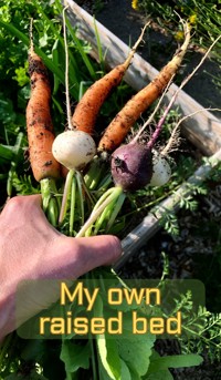My Own Raised Bed - Tobias Herbstreuth - E-Book