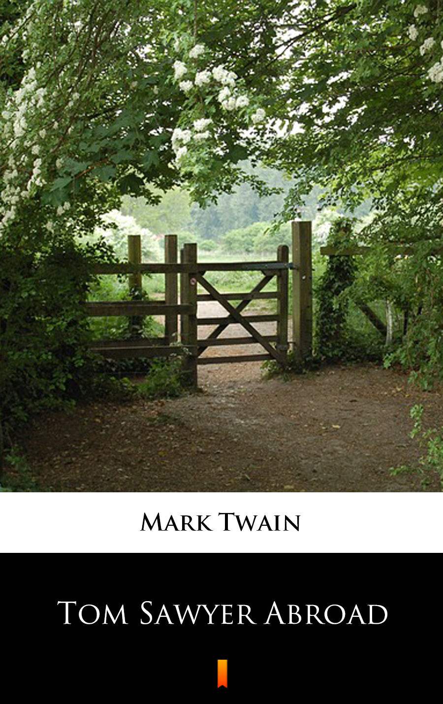 Tom Sawyer Abroad - Mark Twain - E-Book