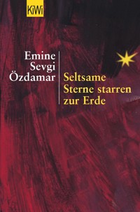 Seltsame Sterne starren zur Erde - Emine Sevgi Özdamar - E-Book