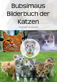 Bubsimaus Bilderbuch der Katzen - Siegfried Freudenfels - E-Book