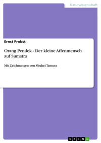 Orang Pendek - Der kleine Affenmensch auf Sumatra - Ernst Probst - E-Book