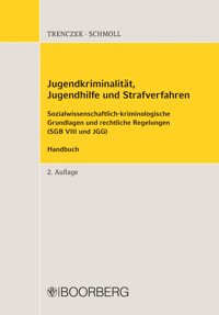 Jugendkriminalität, Jugendhilfe und Strafverfahren - Thomas Trenczek - E-Book