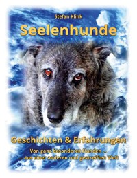 Seelenhunde - Stefan Klink - E-Book