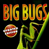 Big Bugs - Seymour Simon - Hörbuch