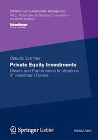 Private Equity Investments - Claudia Sommer - E-Book