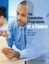 The Foundation Programme at a Glance - Stuart Carney - E-Book