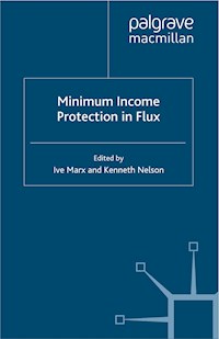 Minimum Income Protection in Flux - - E-Book