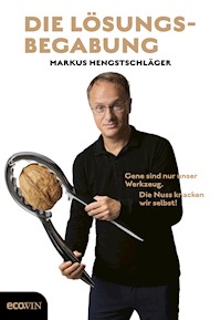 Die Lösungsbegabung - Markus Hengstschläger - E-Book