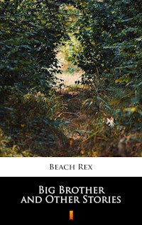 Big Brother and Other Stories - Rex Beach - E-Book
