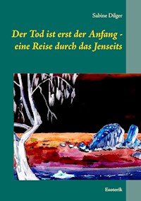 Der Tod ist erst der Anfang - eine Reise durch das Jenseits - Sabine Dilger - E-Book