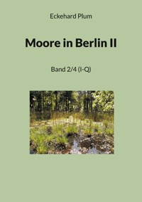 Moore in Berlin II - Eckehard Plum - E-Book