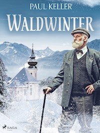 Waldwinter - Paul Keller - E-Book