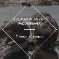 The Adventures of Paddy Beaver - Thornton W. Burgess - Hörbuch