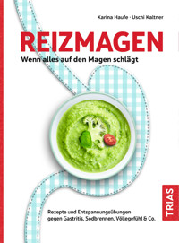 Reizmagen. Wenn alles auf den Magen schlägt - Karina Haufe - E-Book