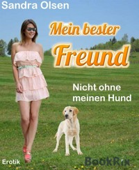 Mein bester Freund - Sandra Olsen - E-Book
