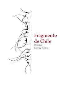 Fragmento de Chile - Rodrigo Karmy Bolton - E-Book