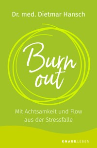 Burnout - Dietmar Hansch - E-Book